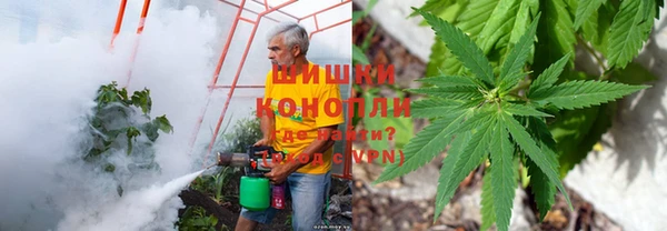 герыч Арсеньев
