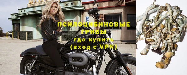 не бодяженный Аркадак