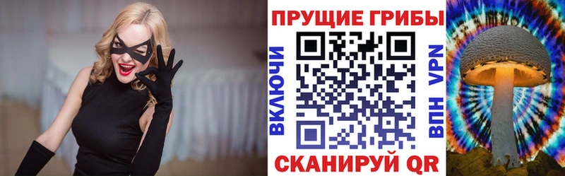Галлюциногенные грибы Psilocybine cubensis  omg онион  Сосновый Бор 